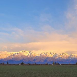 Mendoza Es Montana, Paz Y Malbec